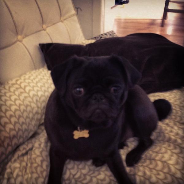 tarncham's tweet image. Coco love xxx