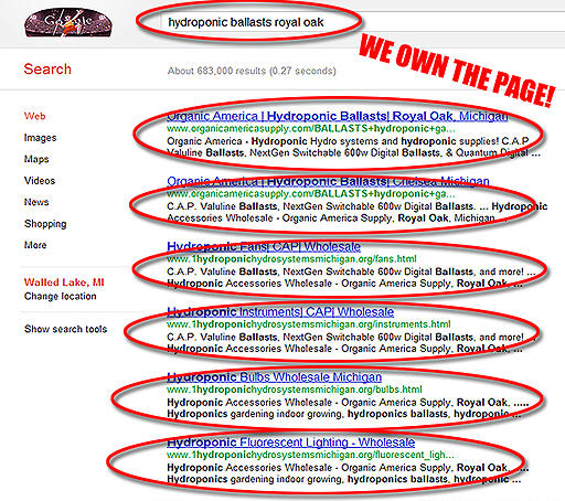 HydroGrow's tweet photo. Examples of my #hydroponic #SEO #store #marketing - this result is pretty impressive  #michigan #taylor #annarbor http://t.co/rmRlymno