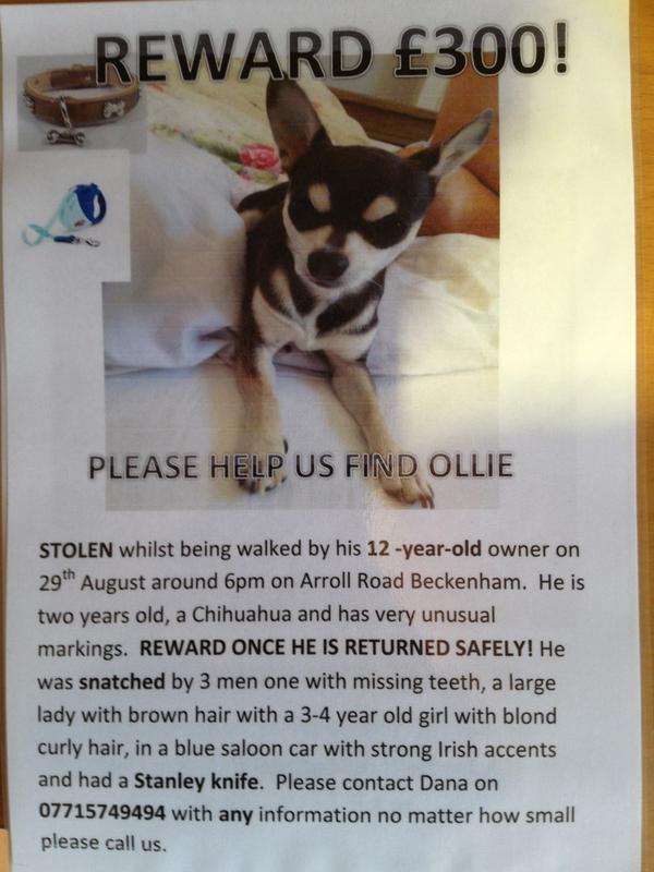 RachieRach tweet media