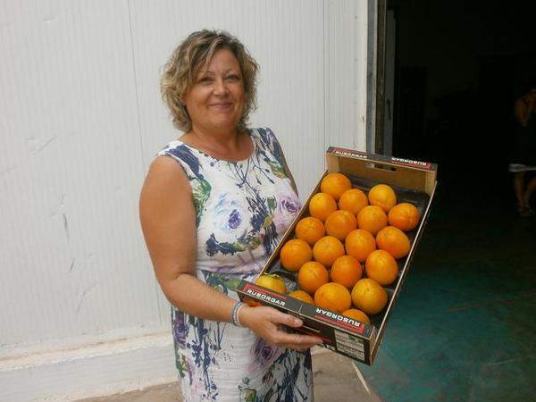 disurca1's tweet photo. Disurca comienza la campaña de kakis persimon, de la ribera del Júcar. http://t.co/Ghl4kdrx