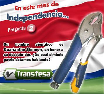 Transfesa tweet media