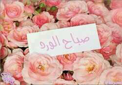 b53262706's tweet photo. http://t.co/R2sGn4FP