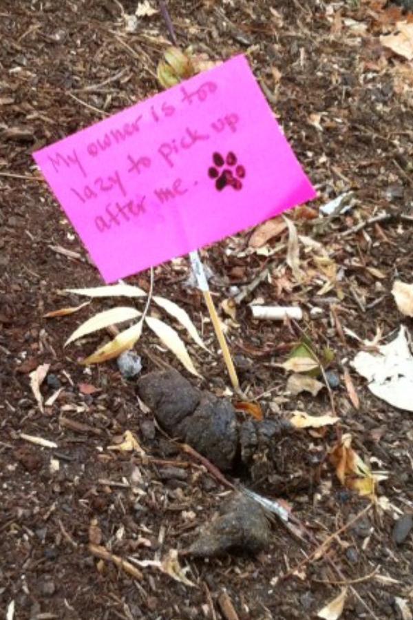 As seen in the Pearl - come on people, pick it up!