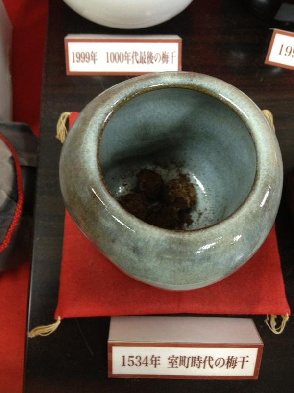 梅干しは賞味期限切れでも食べられる 常温保存 冷蔵庫保存などケース別に