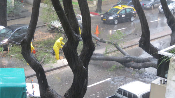 Enlace permanente de imagen incrustada