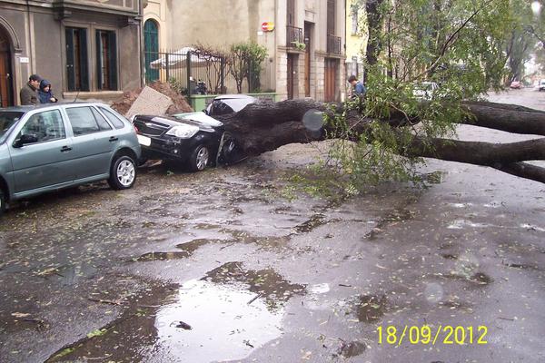 Enlace permanente de imagen incrustada