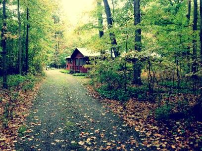 Suzie Mcneil On Twitter My Creepy Cabin In The Woods Blair