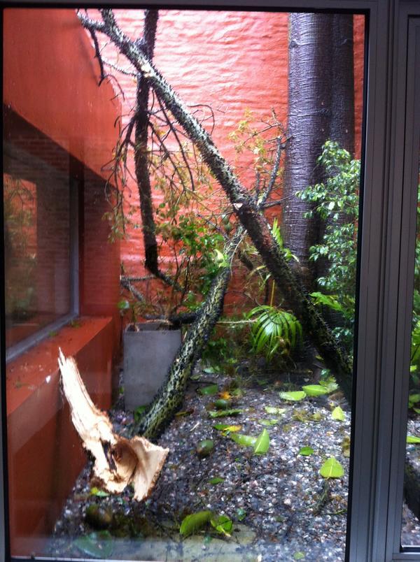 Enlace permanente de imagen incrustada