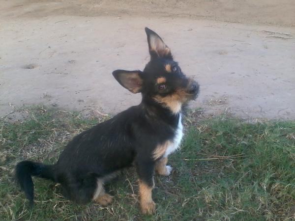 pichotax's tweet photo. @MarketingGirl24 hola gatita. te sigo en tu canal de yuo tube. bsotes soy porte http://t.co/K8deWJWb