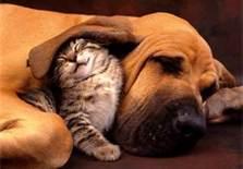 Delta High School tweet media