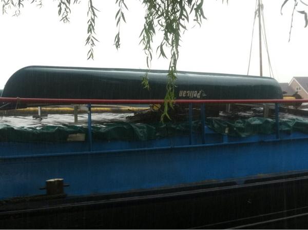 King Pelican (@kingpelicanband) on Twitter photo 