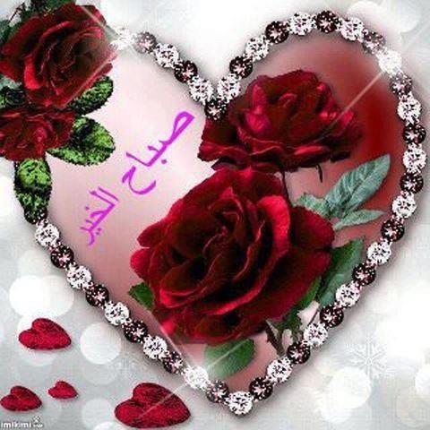 BDooor2020's tweet photo. http://t.co/WxmE22ZH
