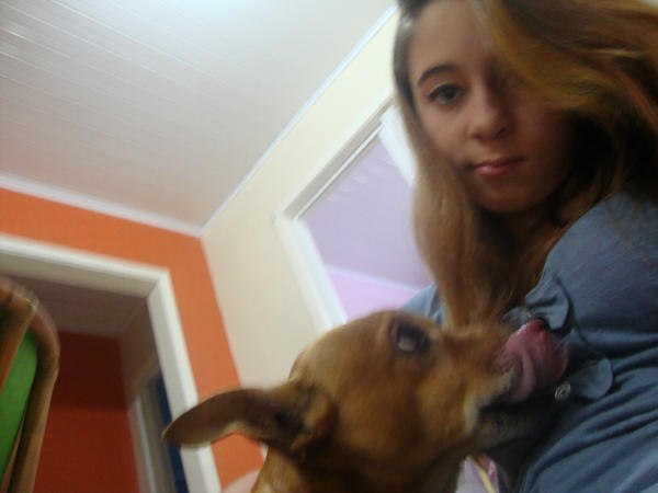 PohaSociedade's tweet photo. meuuu cachorrooo lindu http://t.co/bH5pb8LT