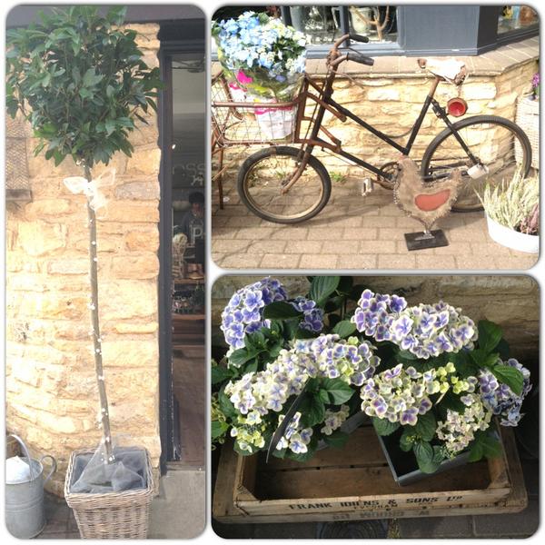 MossBuckingham's tweet photo. A little collage of the shop front! http://t.co/darKKdT0 http://t.co/0KiuNZU1