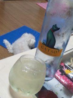 doraminy's tweet photo. 久々にｺｽﾊﾟ☆微発泡ワイン。ラベルが可愛い♪
ペティはひんやりシートで散歩待ち… http://t.co/yq0iX6C