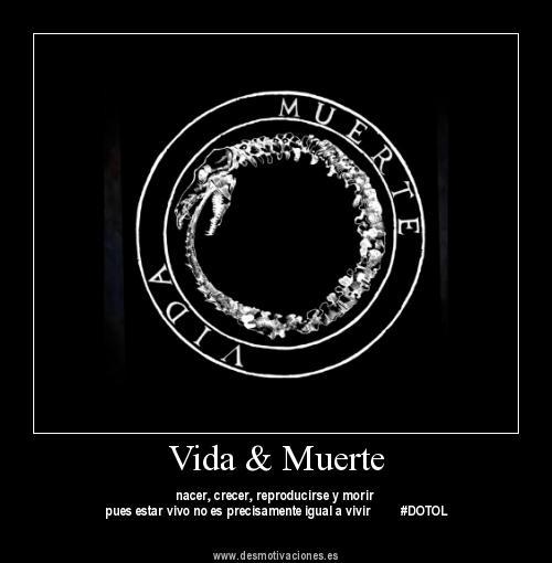 (y) http://t.co/xHTyyDaS<a href="/tag/binance"class="tags"><span>#binance</span></a><a href="/tag/bitcoinbutton"class="tags"><span>#bitcoinbutton</span></a>