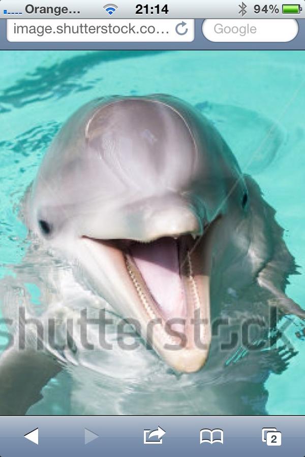 rushielad72's tweet image. @robminnican @theseanhagan or was it this one #goodswimmer