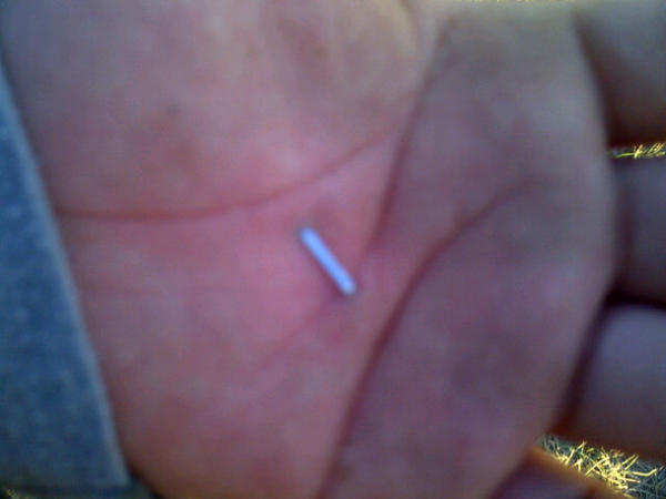 ˢʷᵃᵍ Adam;Spence#44 tweet media