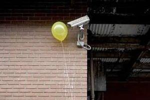 CSS_Security_AU's tweet image. Happy Friday! Leave the security to the experts =)