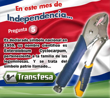 Transfesa tweet media