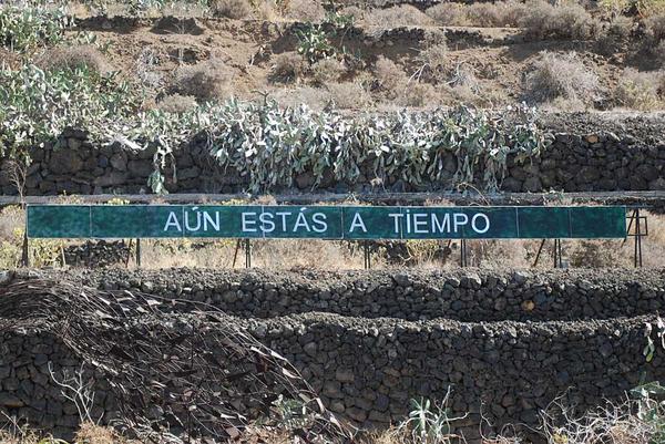 CartelAutopista's tweet photo. "AÚN ESTÁS A TIEMPO" #tenerife #cartel #anoniman http://t.co/vkxZA7wv