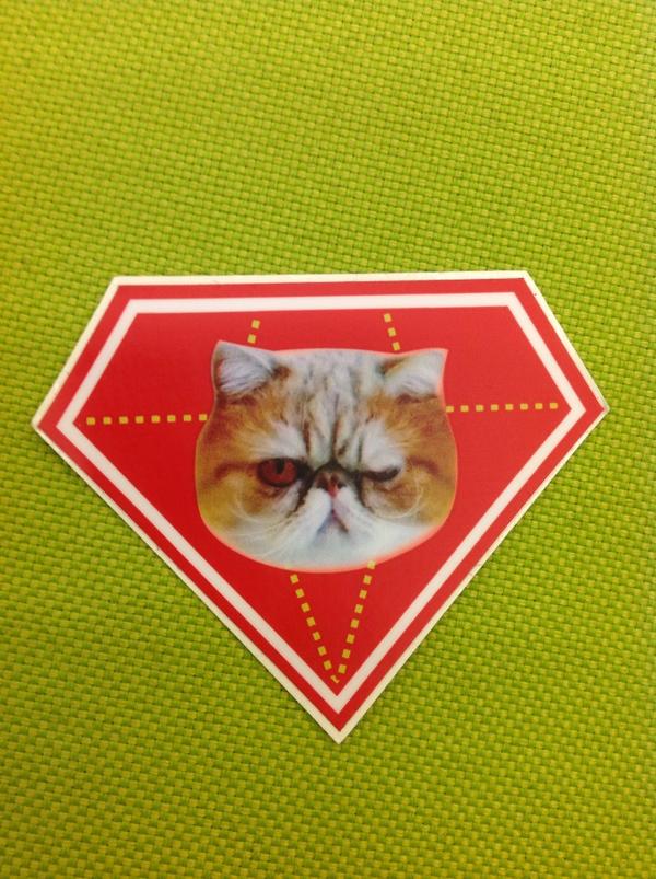 JJuutila's tweet image. I went to fancy conference and all I got was this ugly sticker. ;) #frozenrails