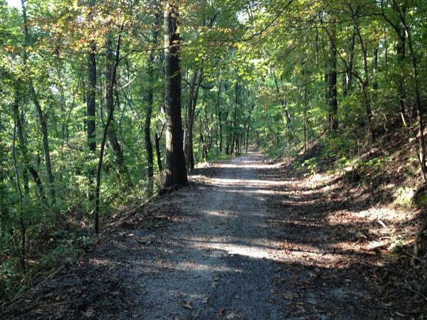 Rick Wood tweet media