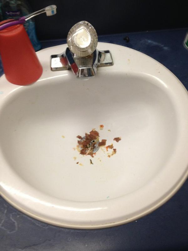 SamiRizkalla's tweet image. Woke up to puke in my sink #resproblems #nastykids #cleanupyourmess #hatesharingawashroom