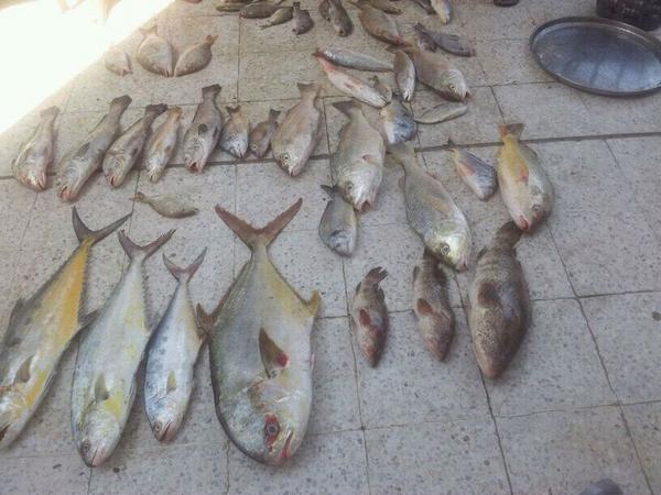 dead_al tweet picture