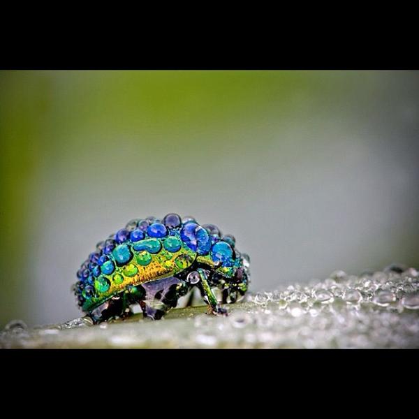 GregoriReal's tweet photo. Colorful. http://t.co/uYlsJnPy