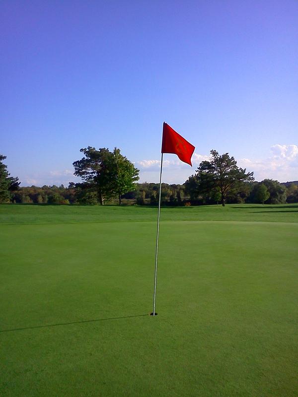 Alex_Torres96's tweet image. The great scenery at thunderbird hills south , just tore it up #1under