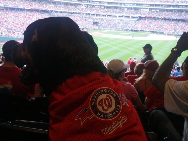 nkgilley's tweet photo. Pudge's first @Nationals game! http://t.co/57GQG9Pn