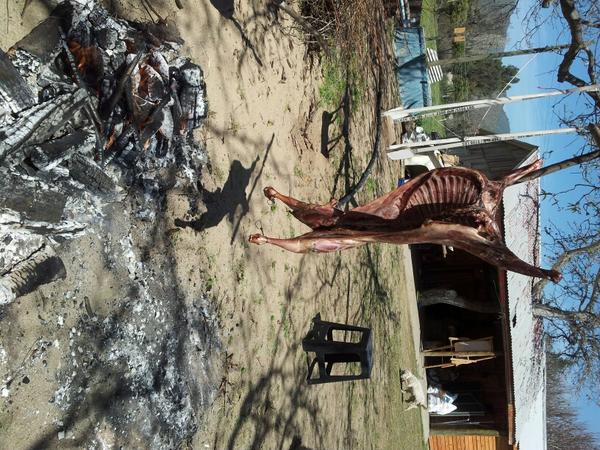 alejuica's tweet photo. Cordero al palo y se termina señores http://t.co/N6hVGvmt