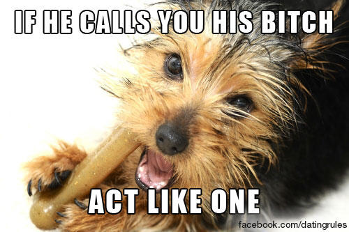 DatingRulesShow tweet picture