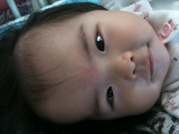 miyamacky4137's tweet photo. @tomokoiwasa おはようございますライオン響。ガウ〜吠えもします http://t.co/VqhSceG1