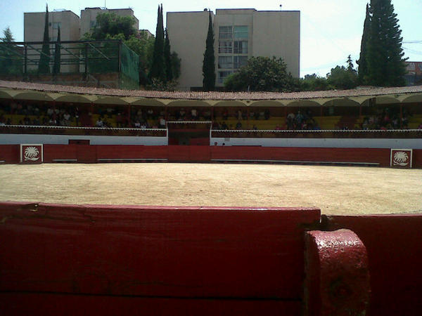 De nuevo a ver el toro de frente <a href="/antoniomercadov/">ANTONIO MERCADO V</a>