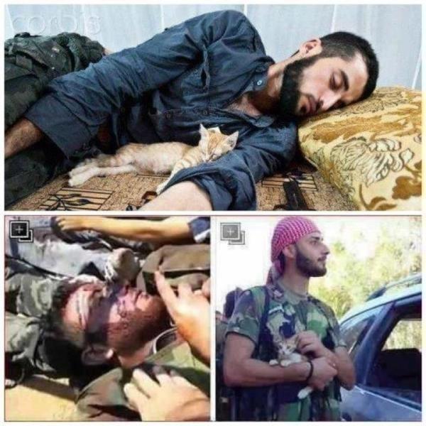 Arwa_Diab's tweet photo. سبحان الله,مجاهد سوري تنام القطة في حضنه ويستشهد نفس اليوم (فأي الفريقين أحق بالأمن) http://t.co/sGCdiKW3
