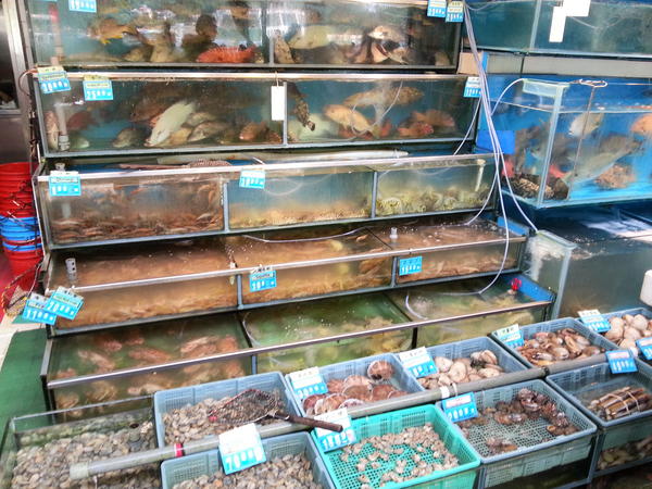 Robert Watt tweet media