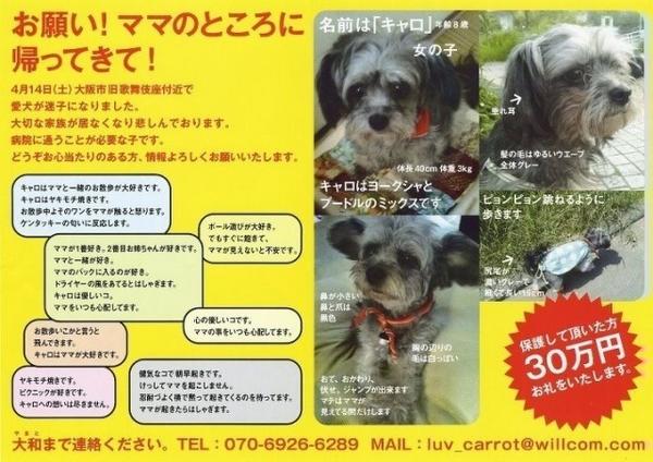 日本犬 Inuno Ohana Twitter