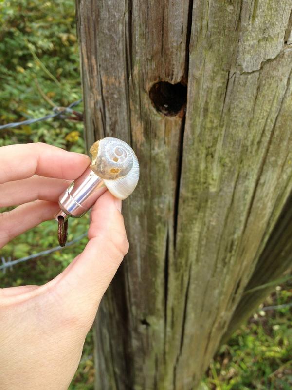 Geocache container slug