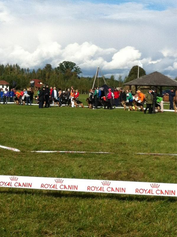 #BALTICSIEGERSHOW iet ringi! #vacuaitusuns <a href="/turbaslv/">Turbas</a>