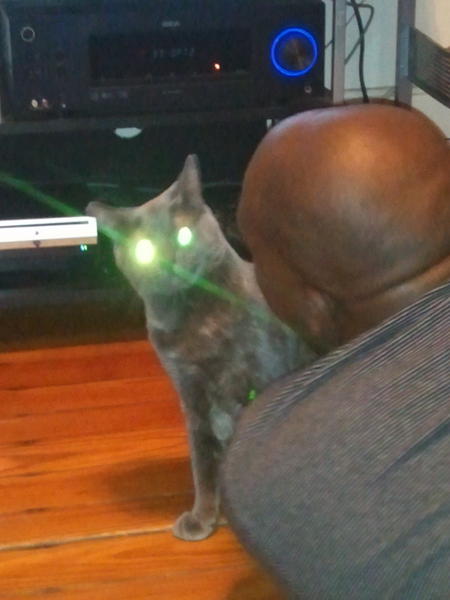 ElizabethWilken's tweet photo. @beastmaster504 more laser beams! http://t.co/NIeeDrjO