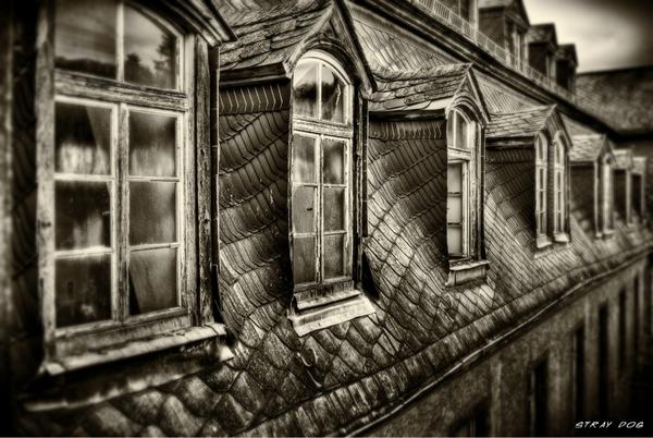 The windows on top of the roof
#urbex #urbanexploring #urbanexploration #abandoned  #lostplace #haunted