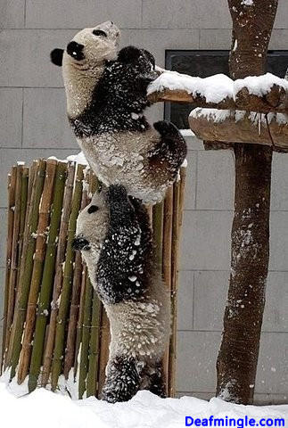 waterlun's tweet photo. True friends will help you in your difficult times. http://t.co/1OiNCvc3