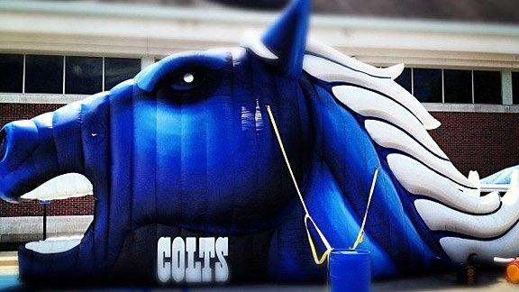 justbrewit8's tweet image. Happy game day #COLTSTRONG #LetsGoIndy