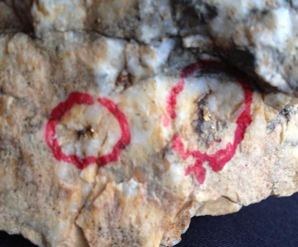 Brian Jones tweet media