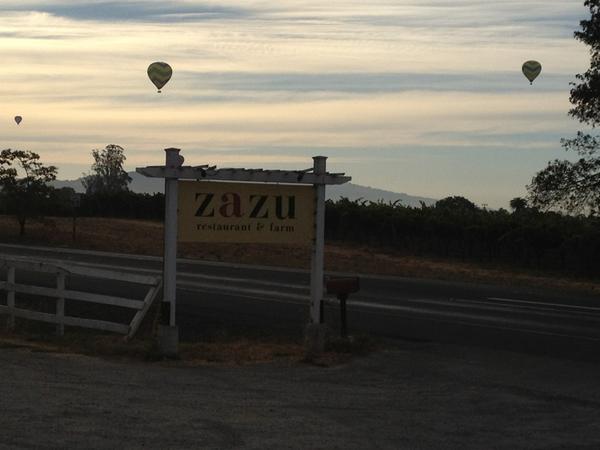 Good morning from Zazu!