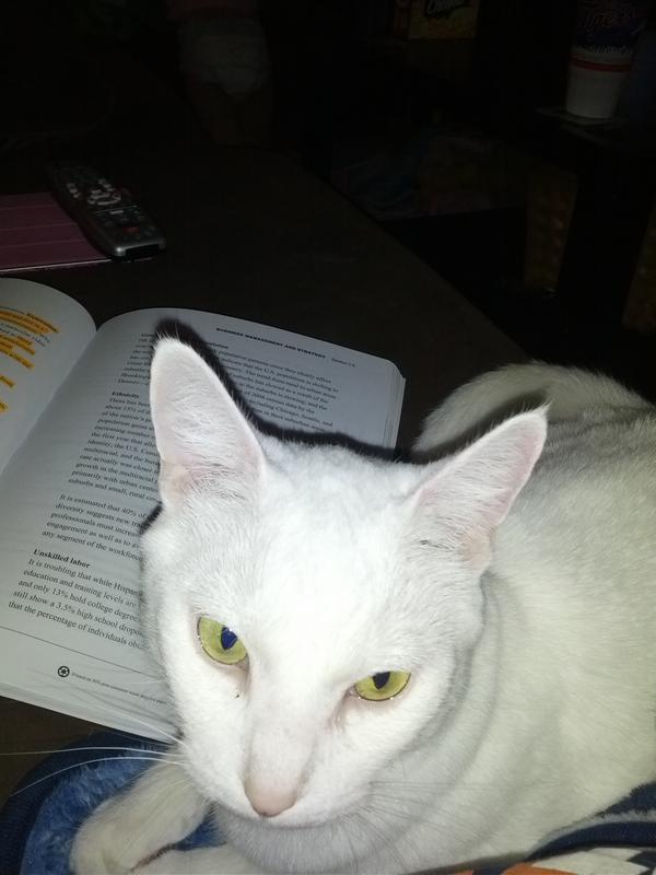 TheRealAMBailey's tweet image. My study partner #EnvironmentalScanning