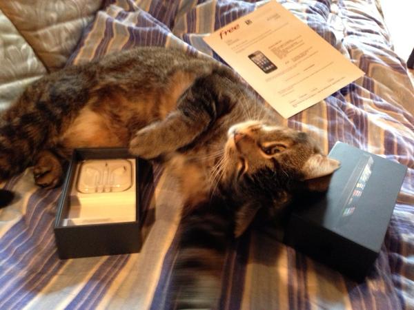 Fb999999999's tweet image. #freemobile à été à la hauteur ! Pas mal pour un provider soit disant lowcost #iphive #catpic