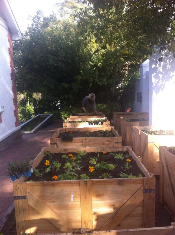 InAweStays's tweet photo. Planting veggies and herbs in stand-alone boxes , can't wait til they're ready!! http://t.co/2fFvxn2h